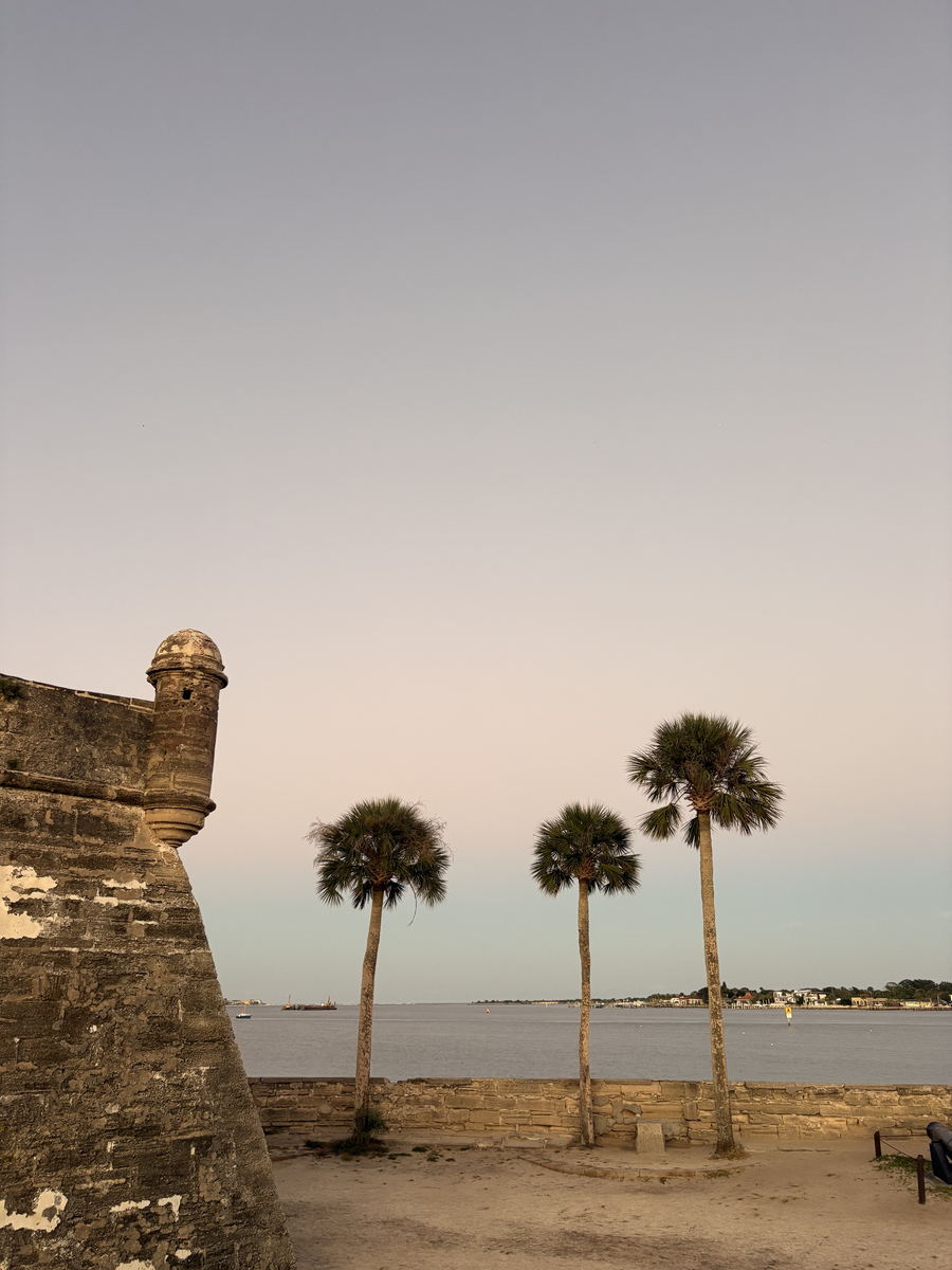 The Castillo de San Marcos and palm trees on the St. Augustine bayfront at dusk
