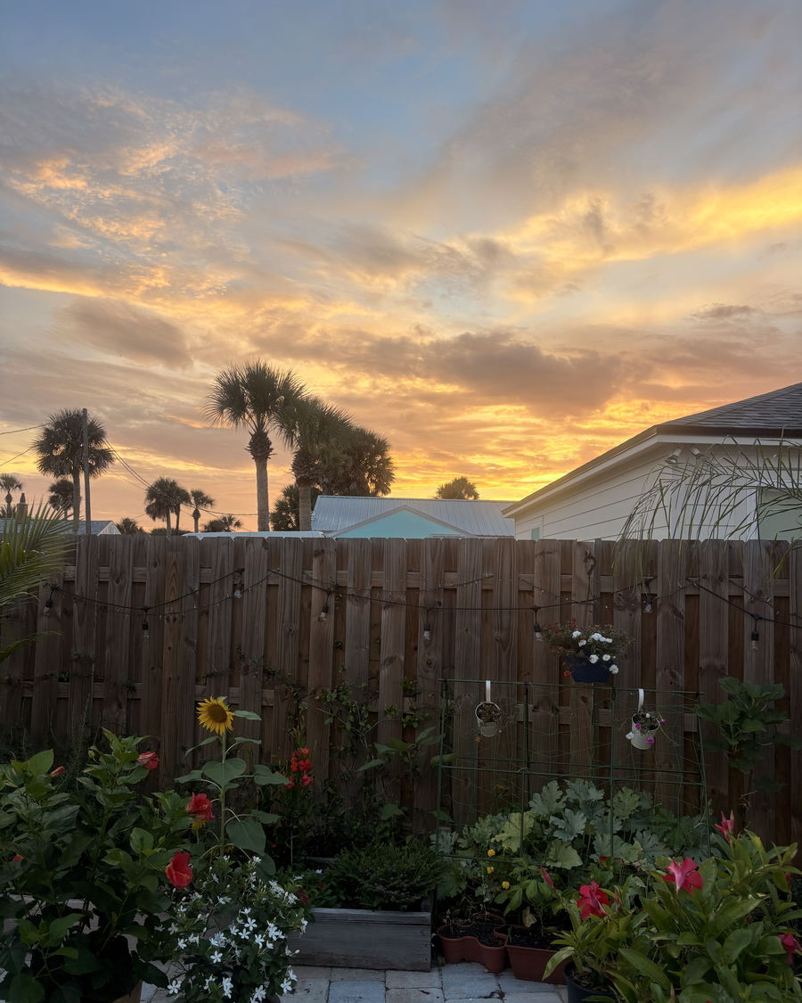 Evening sky over a St. Augustine Beach back garden